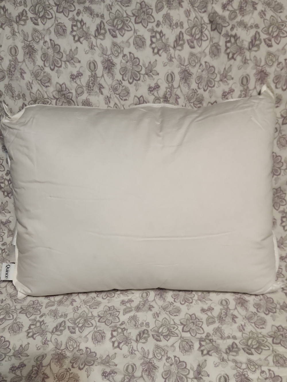 Quince Luxe Goose Down Pillow - Standard, Open Box